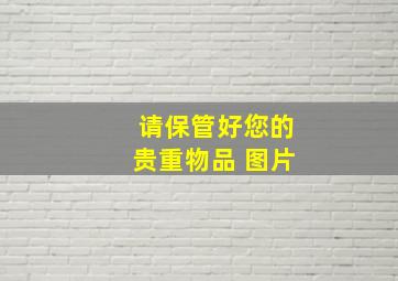 请保管好您的贵重物品 图片